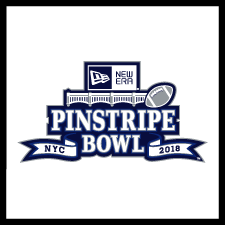pinstripe bowl