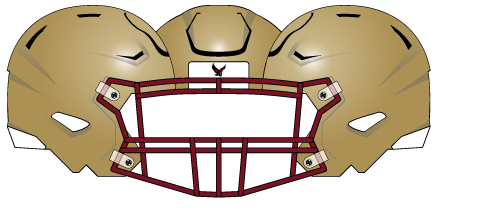 Boston College 2024 Gold Helmet