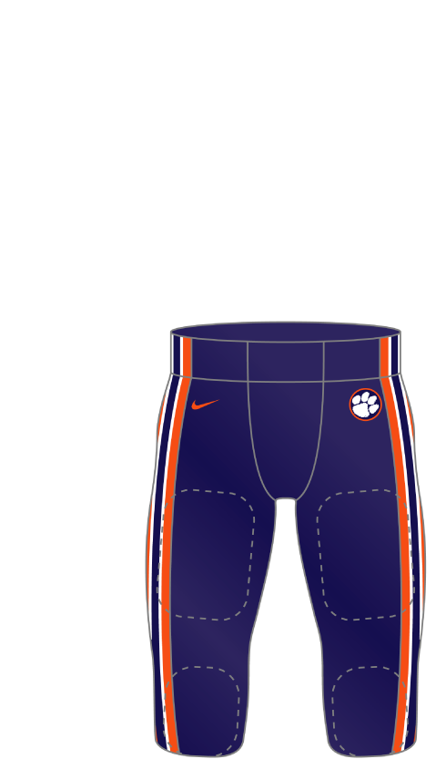 clemson 2002 Purple