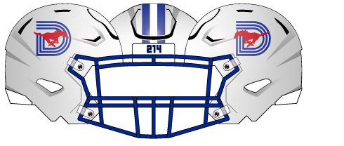 2021 White Helmet Blue Mask D Blue Stripe