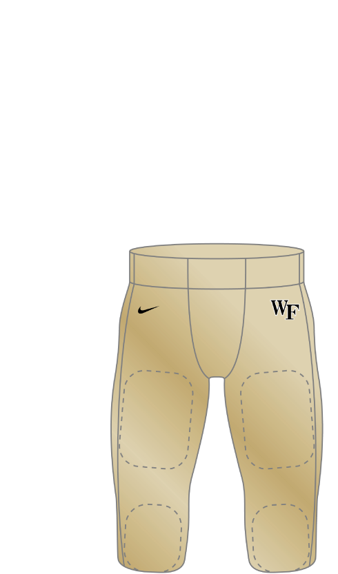 Wake Forest 2006 gold
