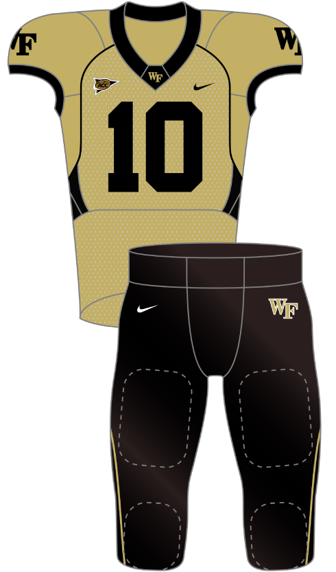 Wake Forest 2010 gold