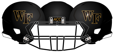 Wake Forest 2013 Black Matte Gold Outline Helmet