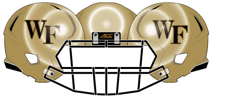Wake Forest 2014 Gold Metallic Helmet