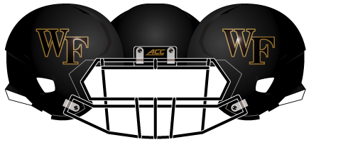 Wake Forest 2014 Black Matte Gold Outline Helmet