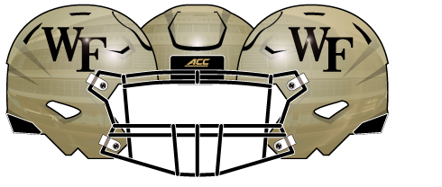 Wake Forest 2019 Gold Helmet
