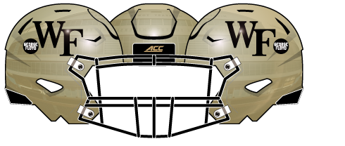 Wake Forest 2020 George Floyd Helmet